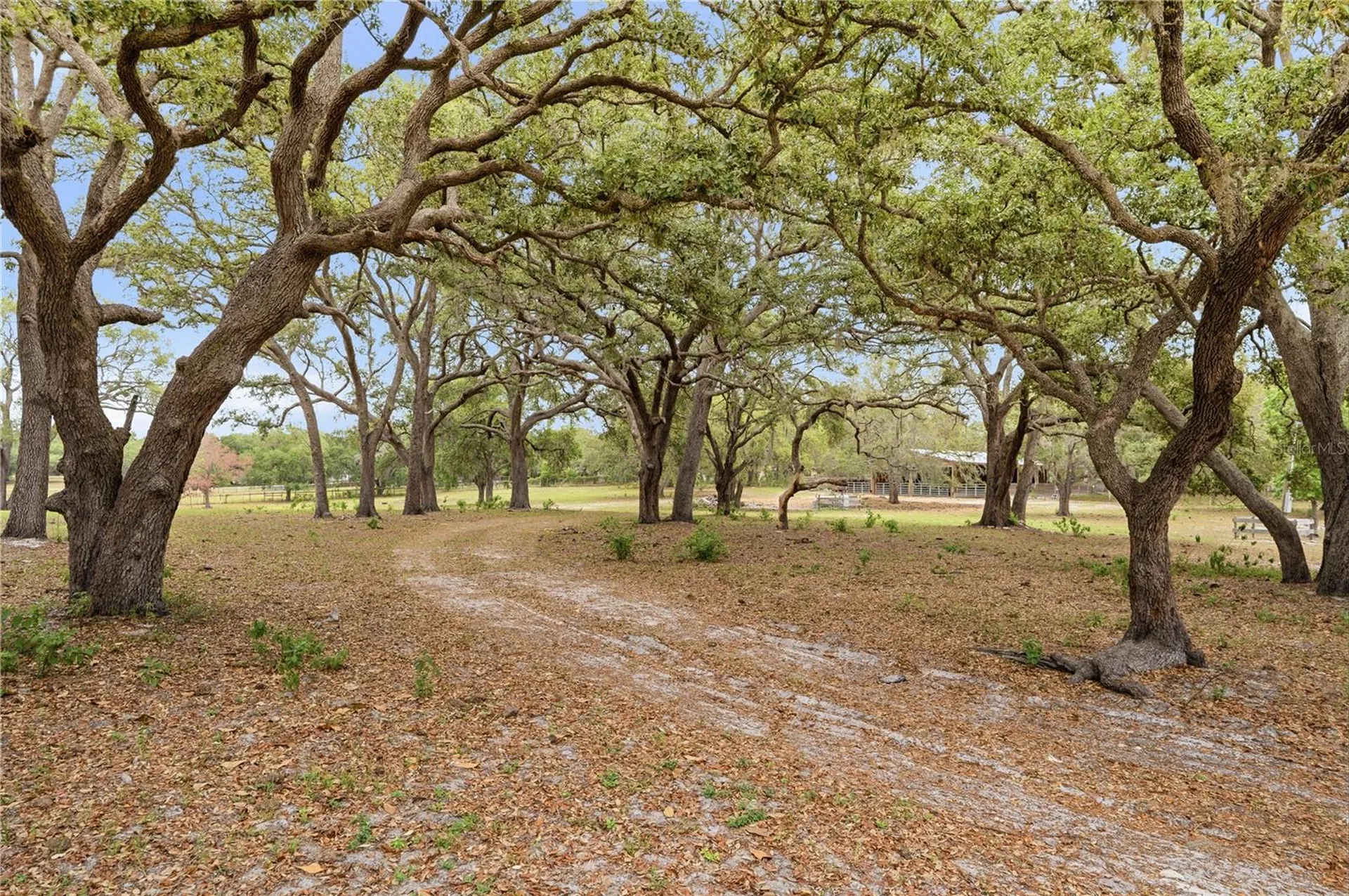 14405 Amy Lane Hudson FL 34669