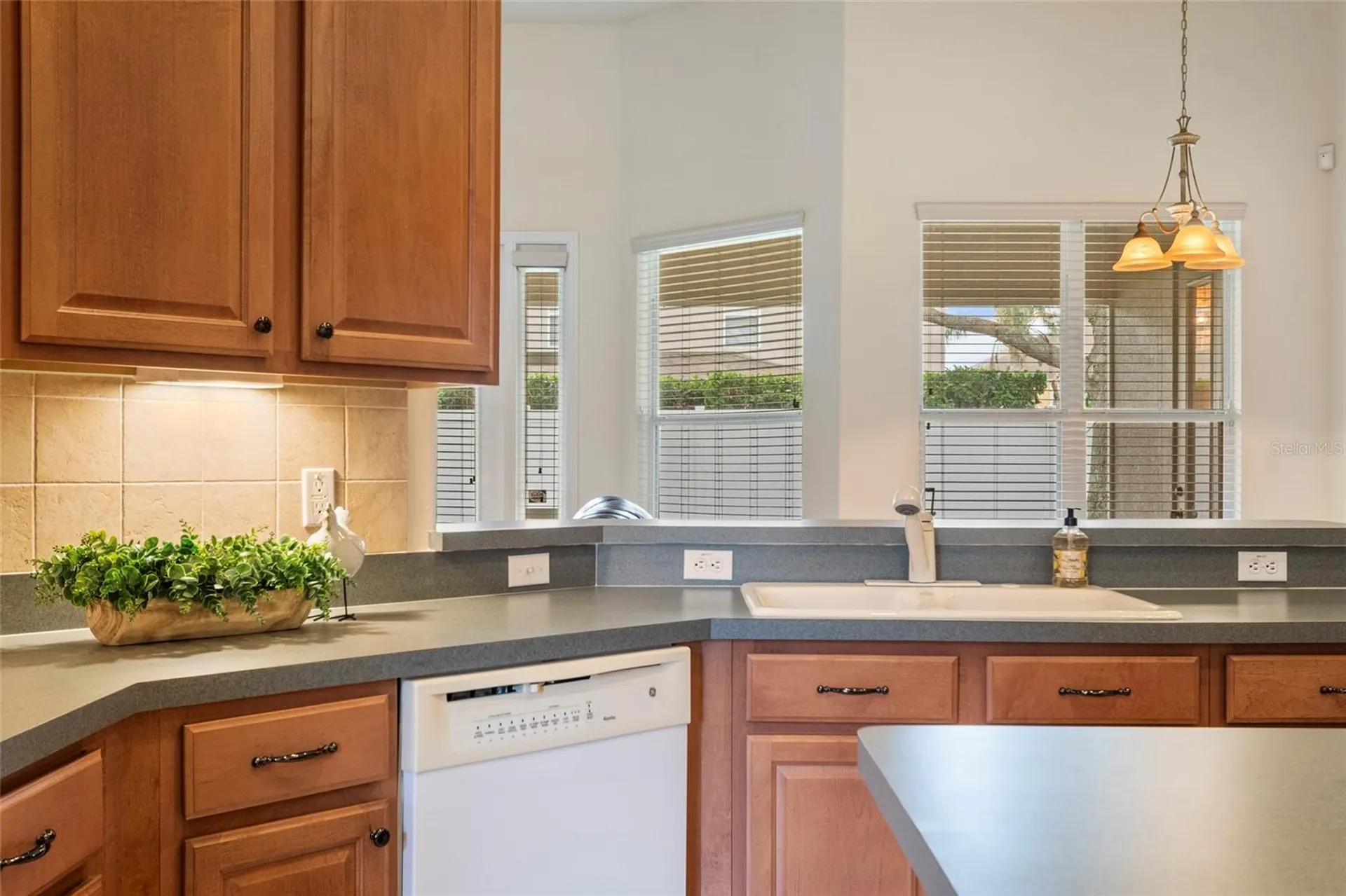 10060 Chardonnay Drive Orlando FL 32832