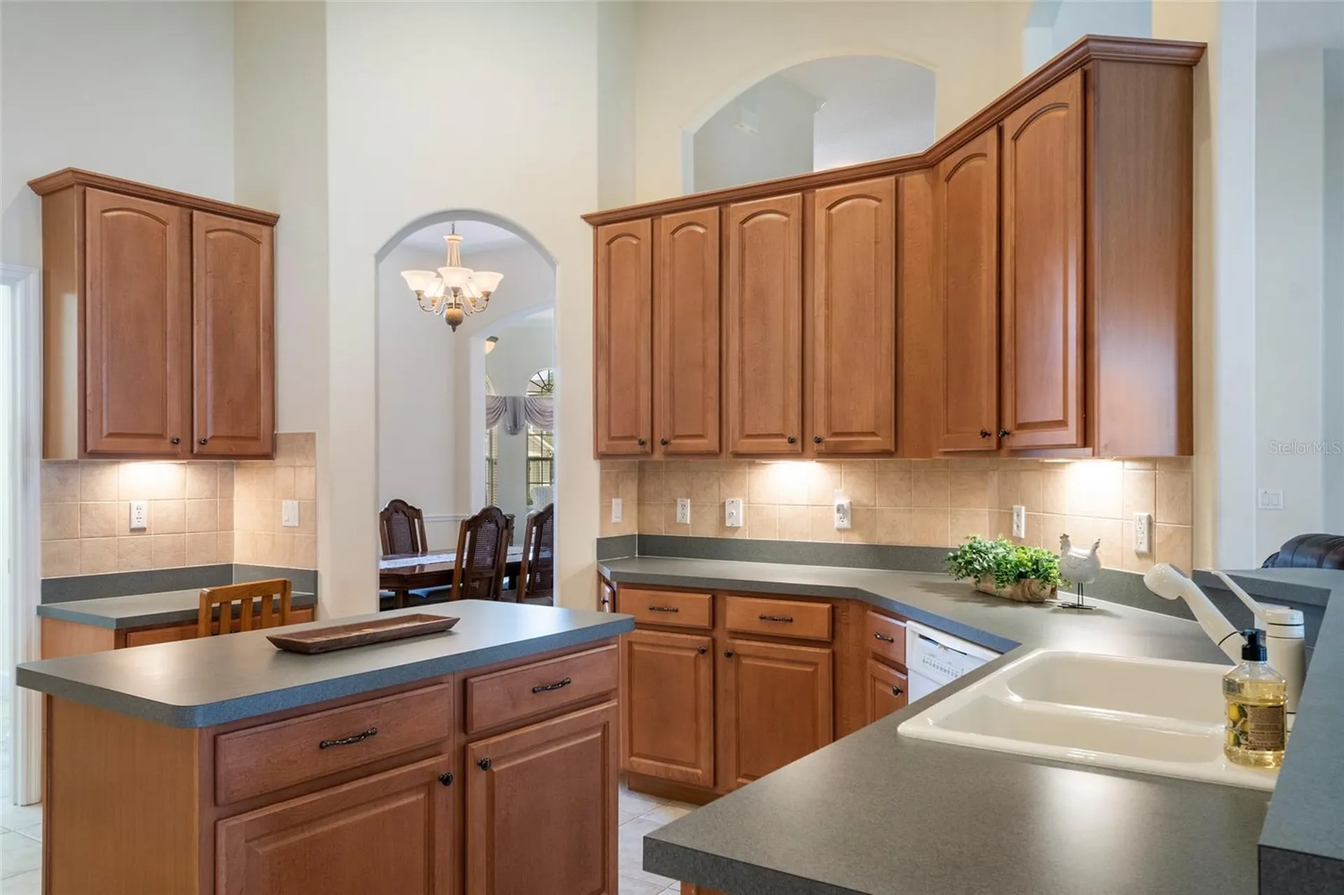 10060 Chardonnay Drive Orlando FL 32832