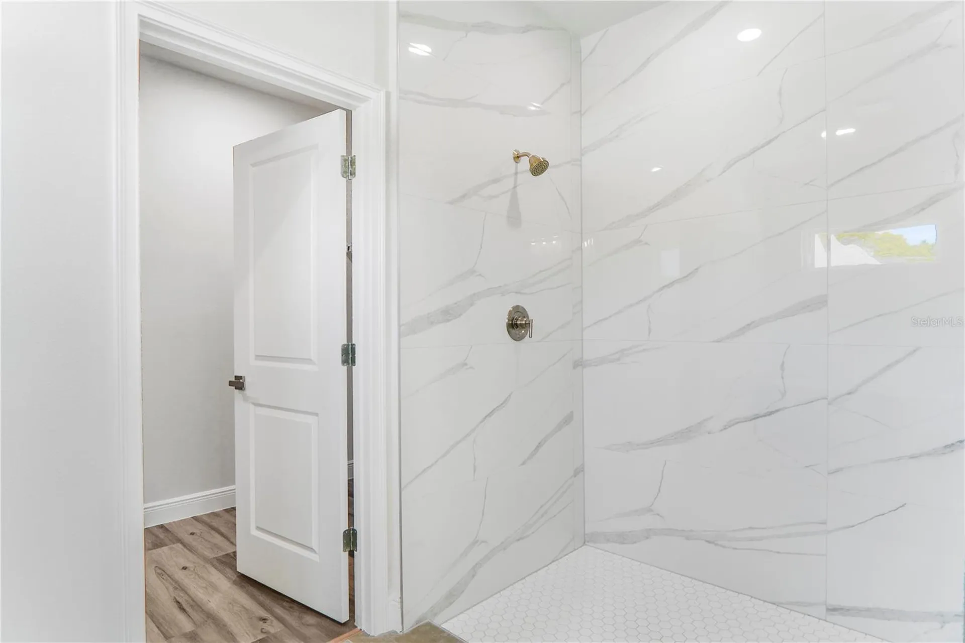 3908 SW 171st Lane Ocala FL 34473