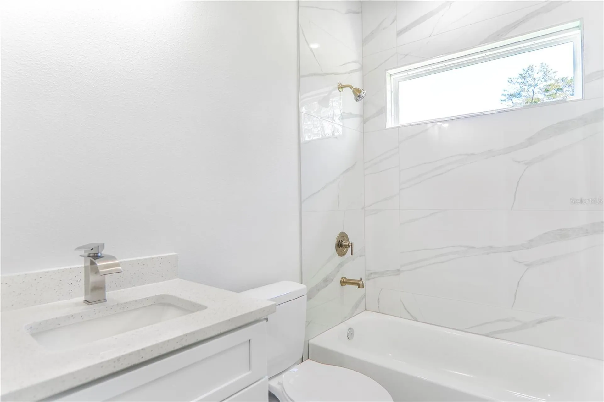 3908 SW 171st Lane Ocala FL 34473