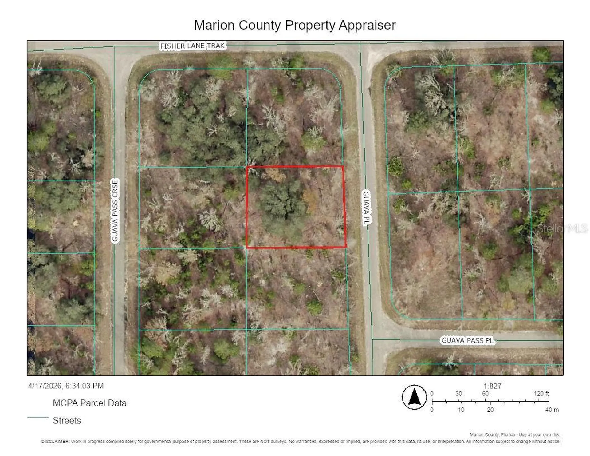 000 Guava Place Ocklawaha FL 32179