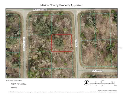 000 Guava Place Ocklawaha FL 32179