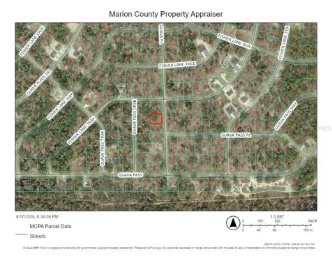 000 Guava Place Ocklawaha FL 32179
