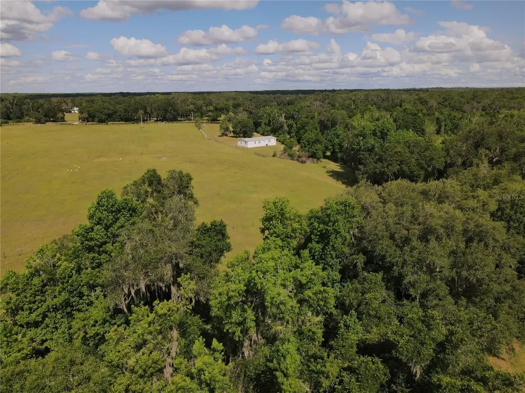 11804 SE County Road 234 Micanopy FL 32667