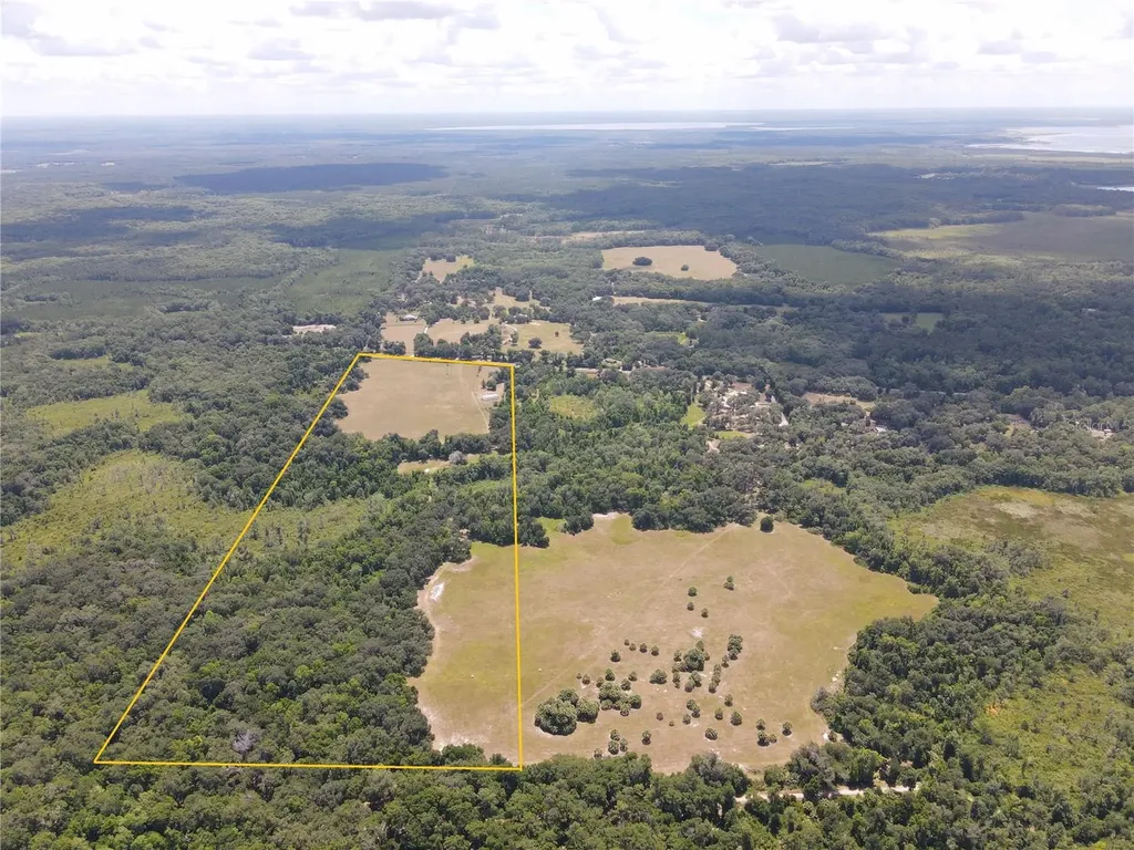11804 SE County Road 234 Micanopy FL 32667