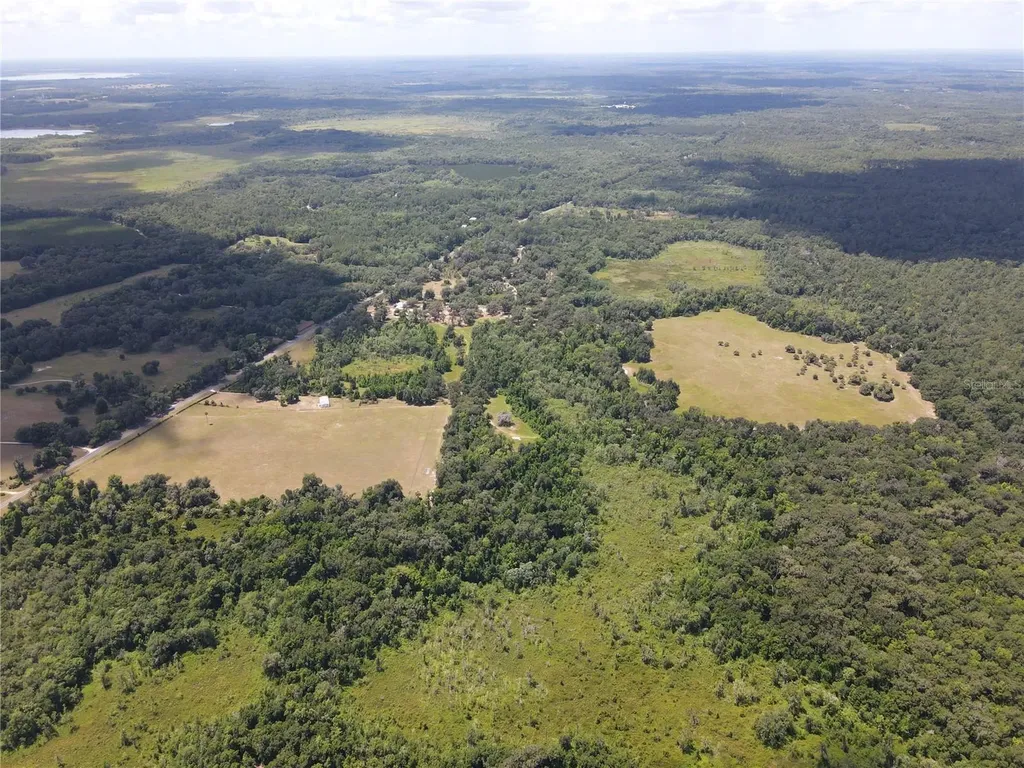11804 SE County Road 234 Micanopy FL 32667