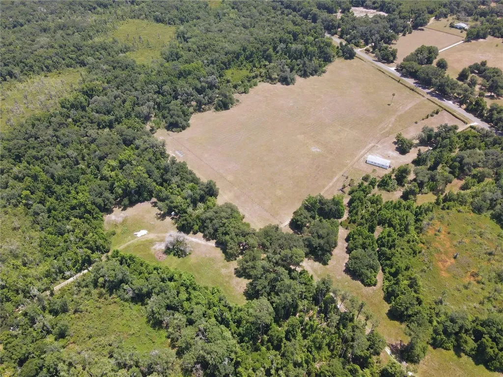 11804 SE County Road 234 Micanopy FL 32667