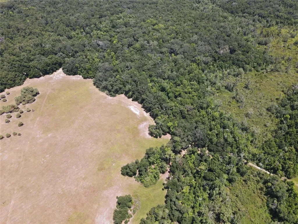 11804 SE County Road 234 Micanopy FL 32667