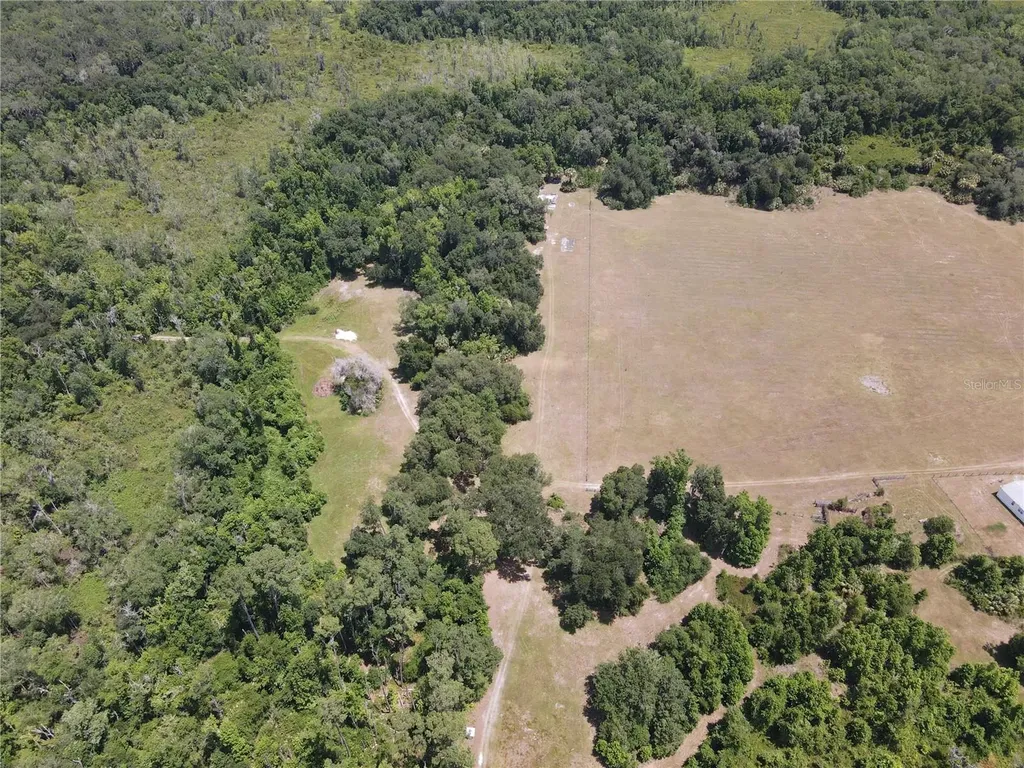 11804 SE County Road 234 Micanopy FL 32667