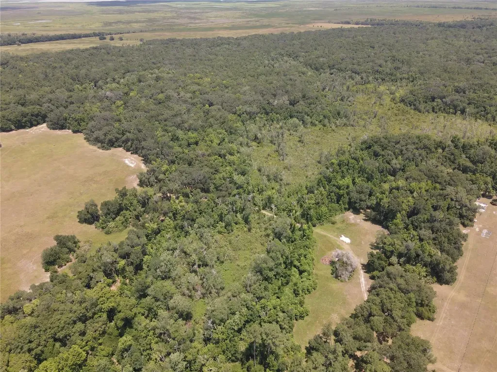 11804 SE County Road 234 Micanopy FL 32667