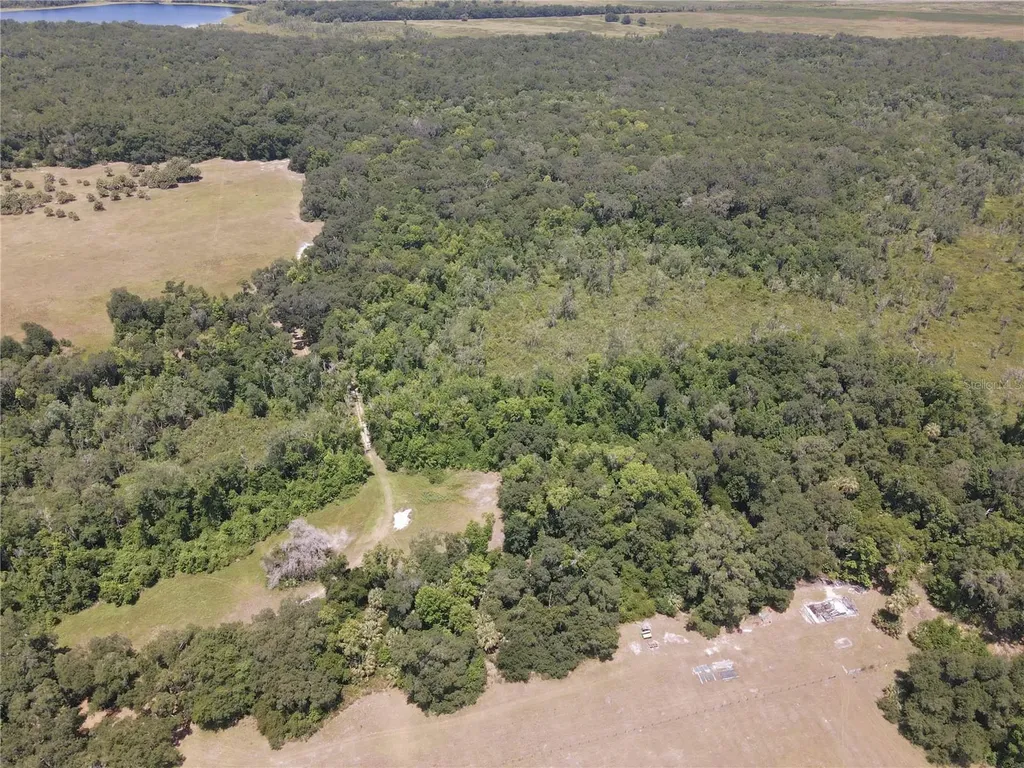 11804 SE County Road 234 Micanopy FL 32667