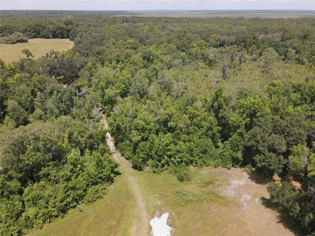 11804 SE County Road 234 Micanopy FL 32667
