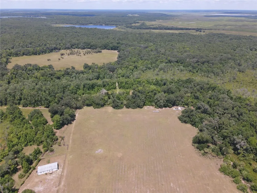 11804 SE County Road 234 Micanopy FL 32667