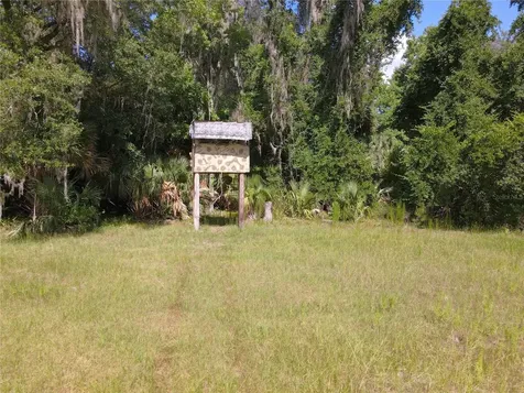 11804 SE County Road 234 Micanopy FL 32667