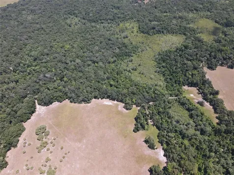 11804 SE County Road 234 Micanopy FL 32667