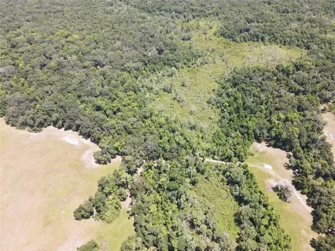 11804 SE County Road 234 Micanopy FL 32667