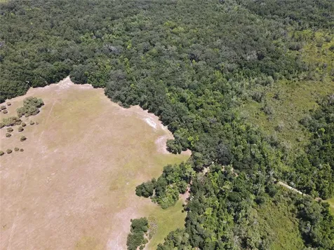 11804 SE County Road 234 Micanopy FL 32667