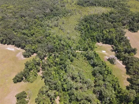 11804 SE County Road 234 Micanopy FL 32667