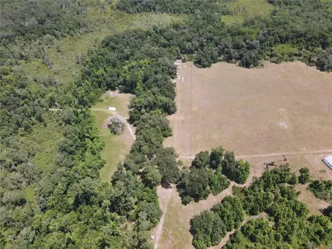 11804 SE County Road 234 Micanopy FL 32667