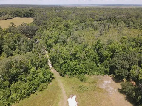 11804 SE County Road 234 Micanopy FL 32667