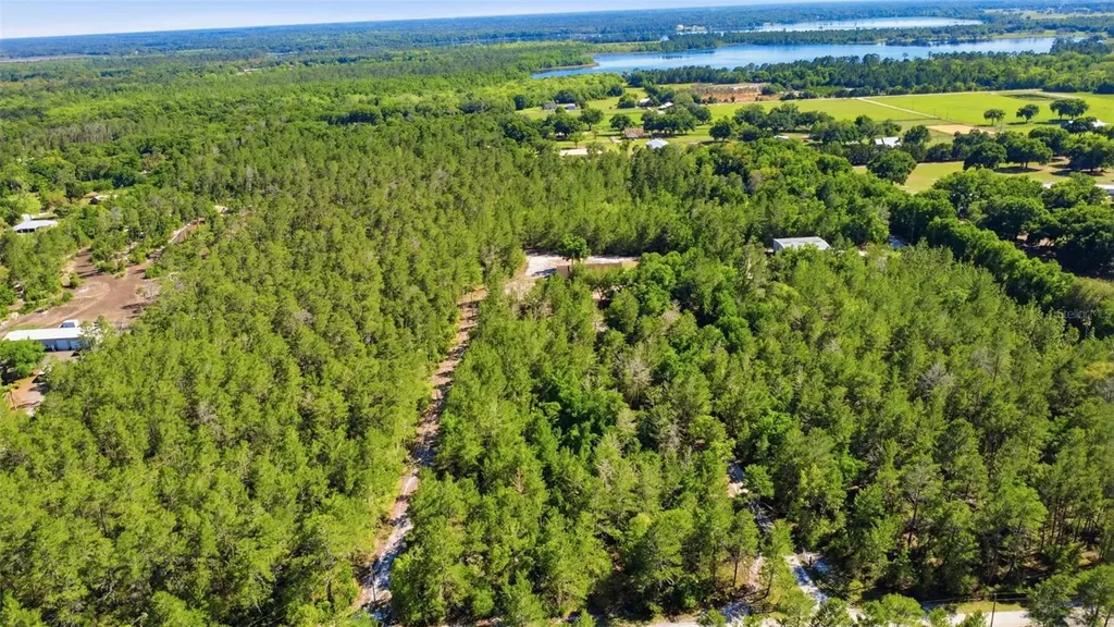 1640 Red Dog Road De Leon Springs FL 32130