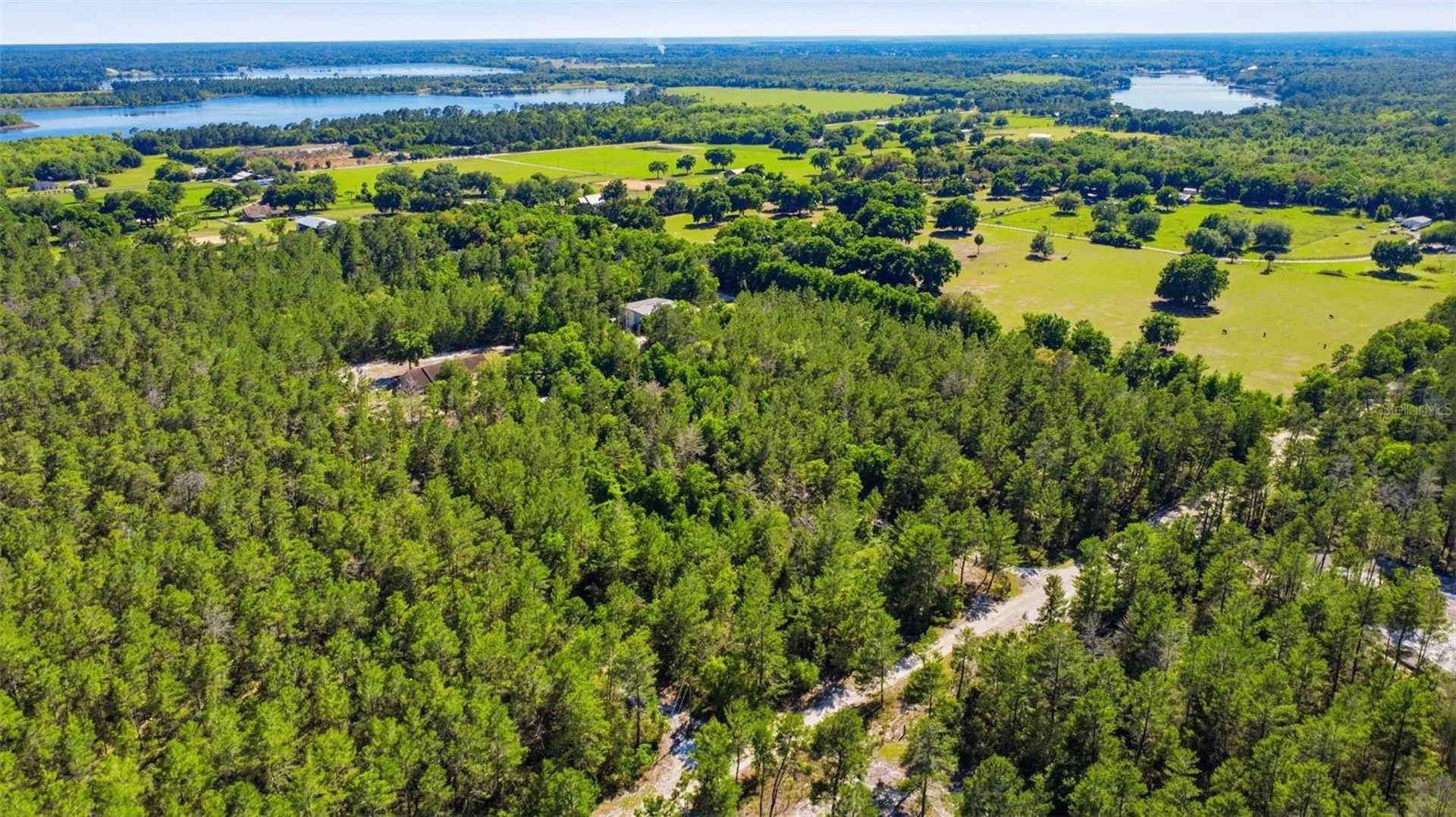 1640 Red Dog Road De Leon Springs FL 32130