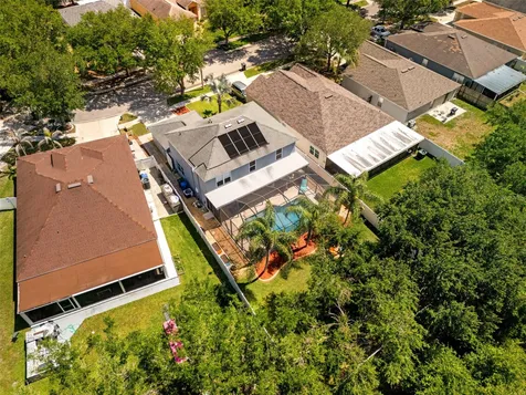 19212 Wood Sage Drive Tampa FL 33647