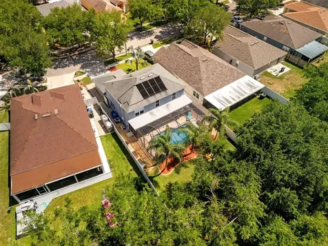 19212 Wood Sage Drive Tampa FL 33647