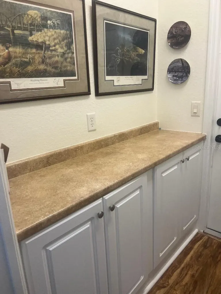 11750 SE 178th Street Summerfield FL 34491