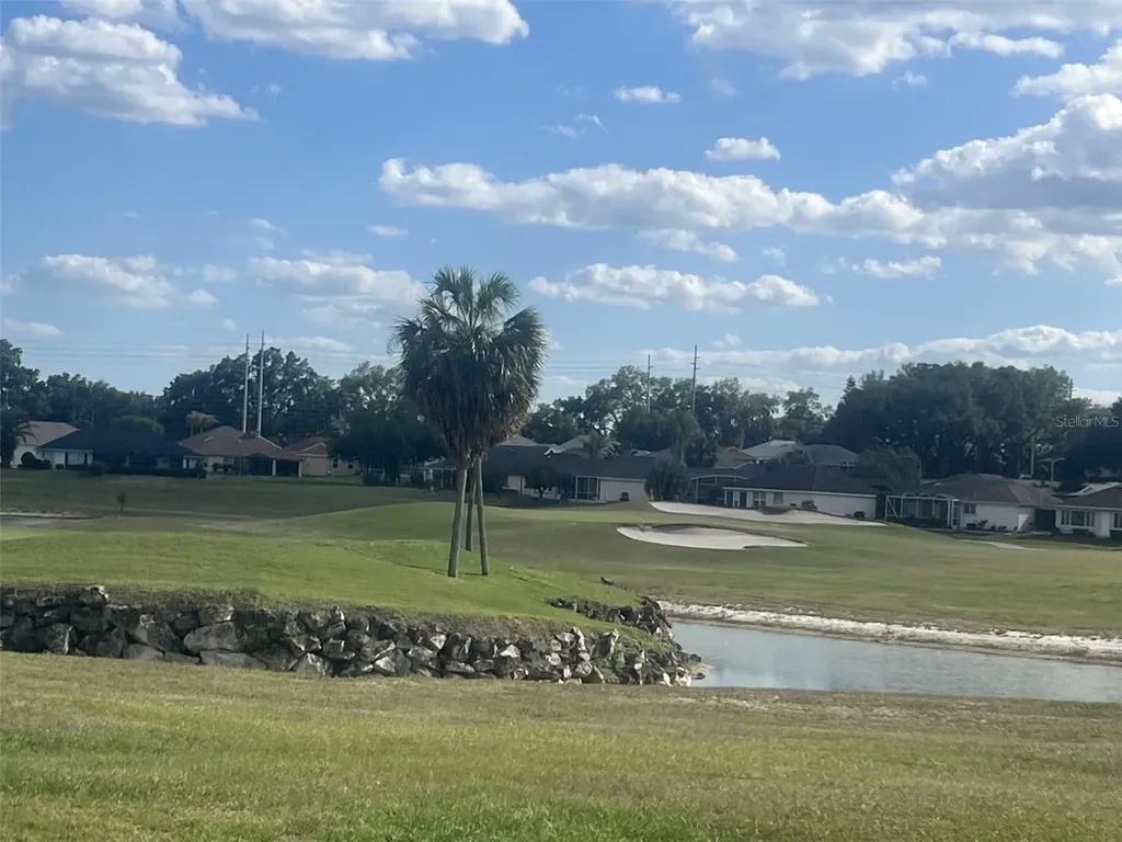 11750 SE 178th Street Summerfield FL 34491