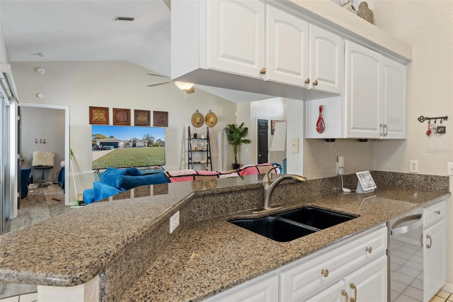 2510 Whitewood Avenue Spring Hill FL 34609