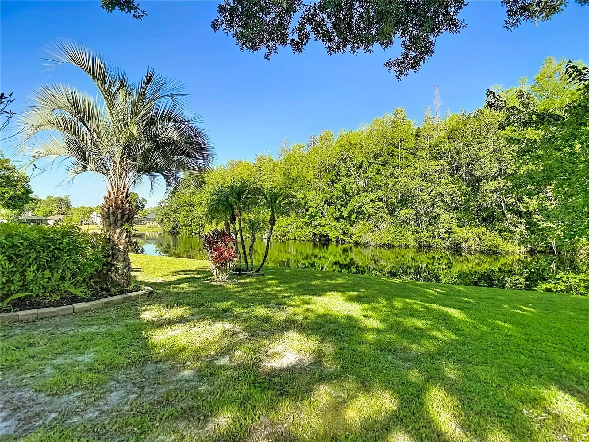 15110 Naturewalk Drive Tampa FL 33624
