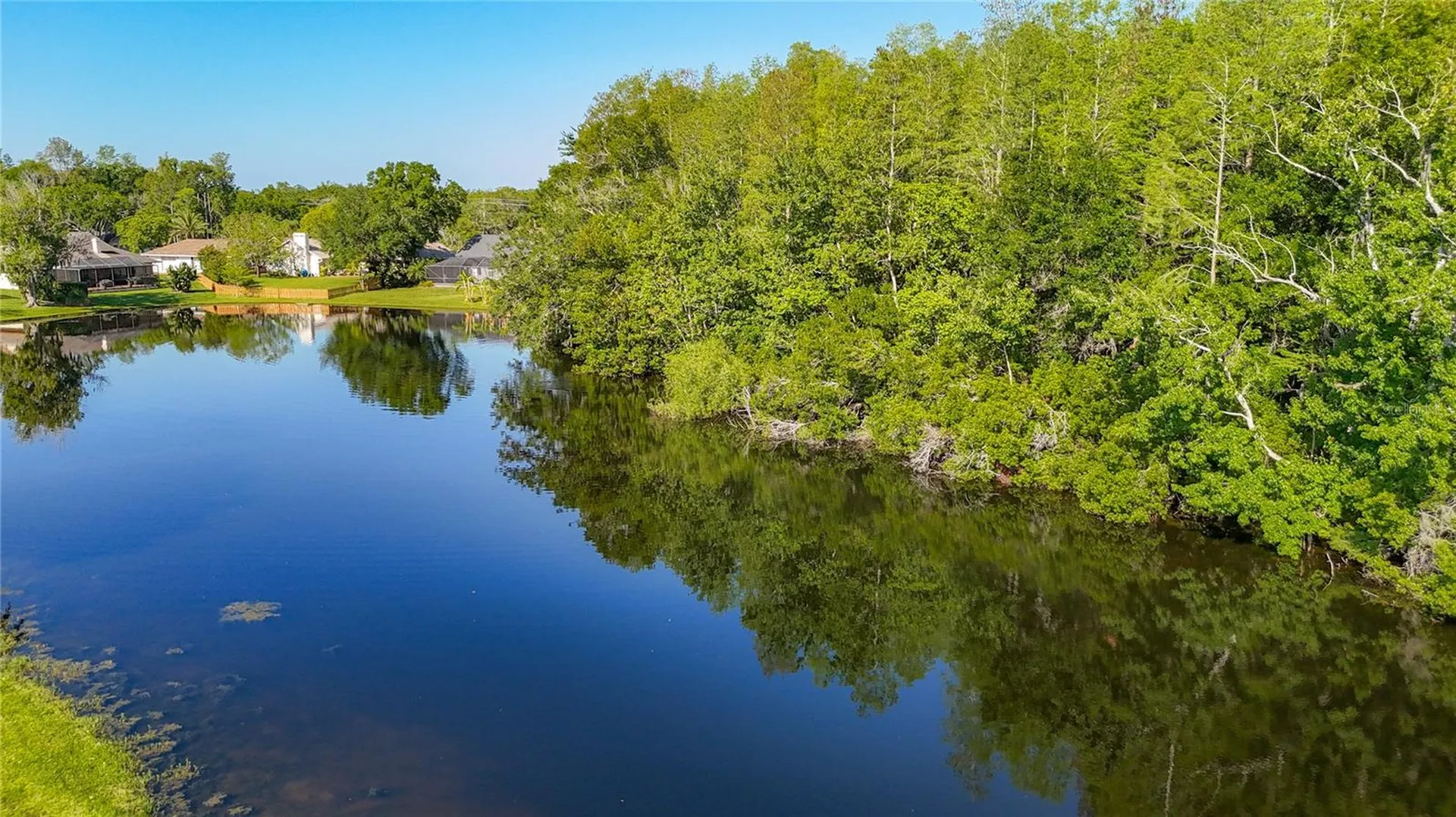 15110 Naturewalk Drive Tampa FL 33624