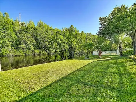 15110 Naturewalk Drive Tampa FL 33624
