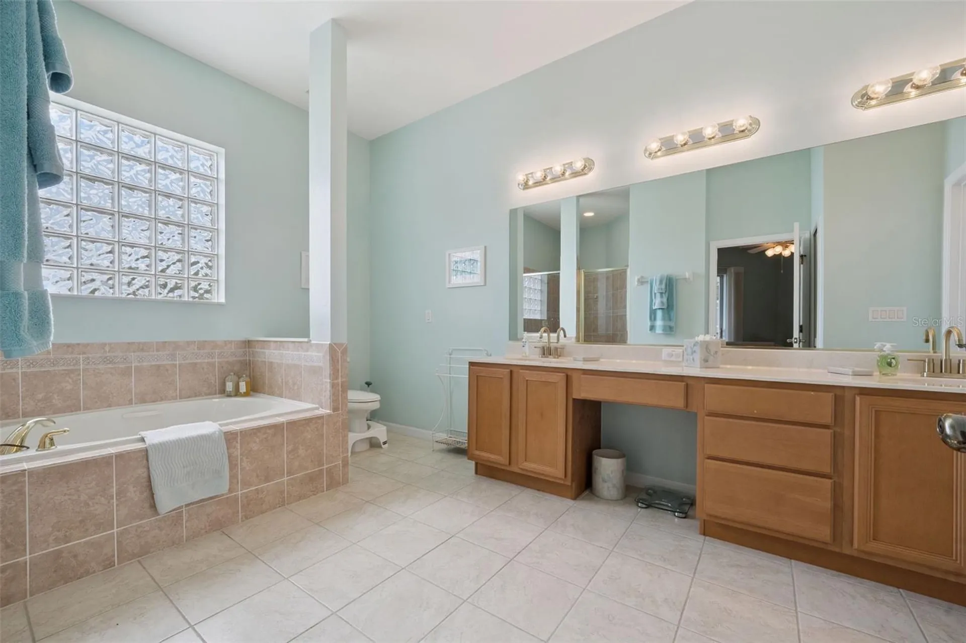 3719 Belle Rose Drive Leesburg FL 34748