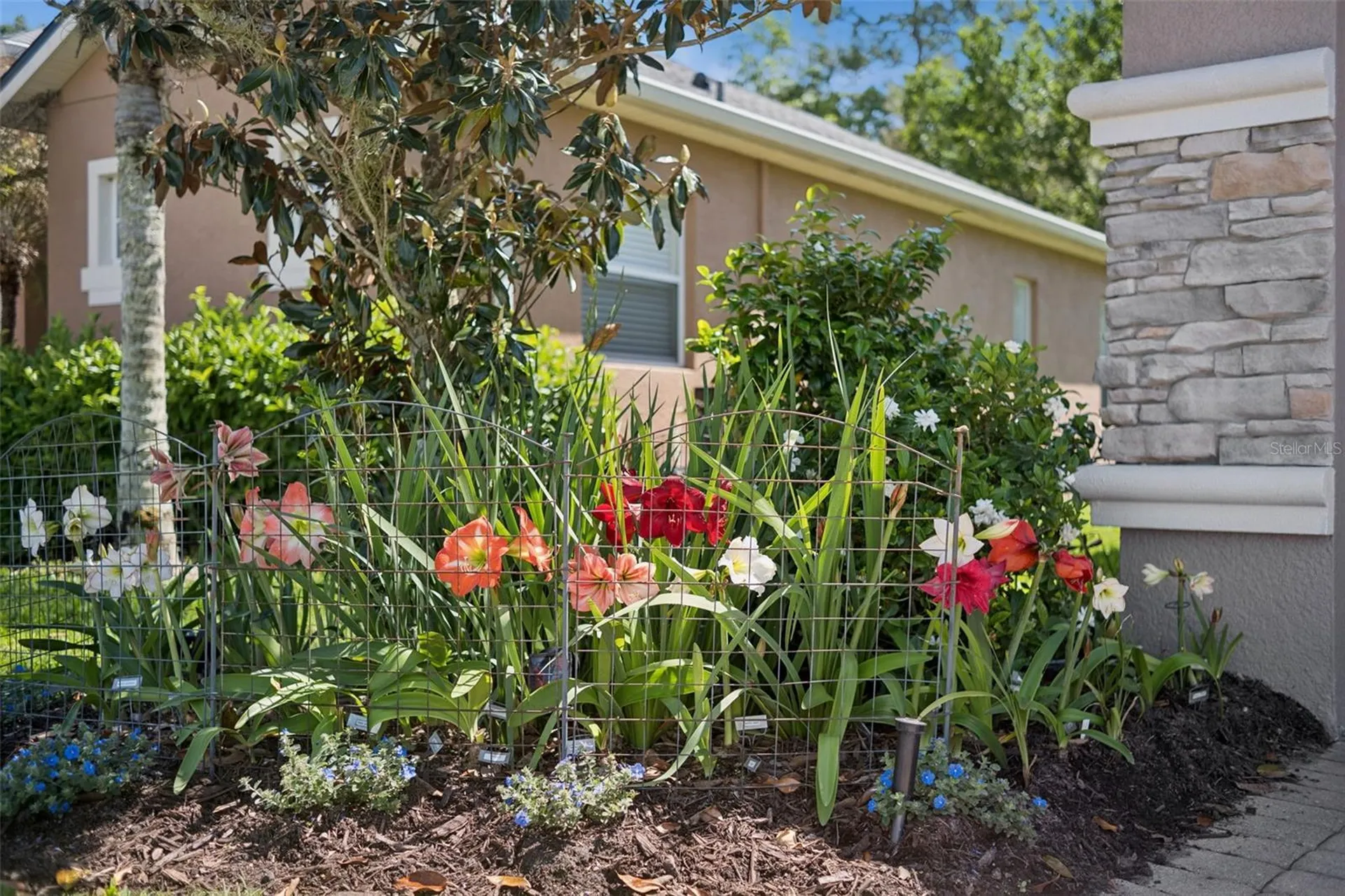 3918 Safflower Terrace Oviedo FL 32766