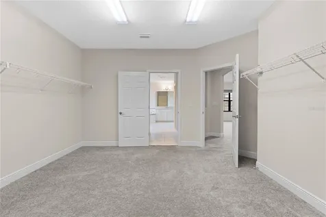 13830 Moonstone Canyon Drive Riverview FL 33579