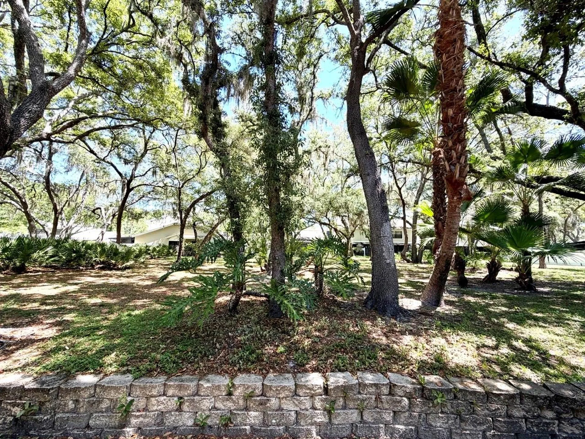 5100 Burchette Road Tampa FL 33647