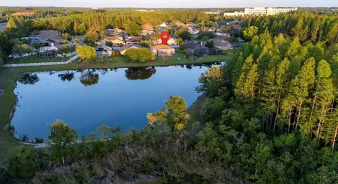 18012 Sparrows Nest Drive Lutz FL 33558