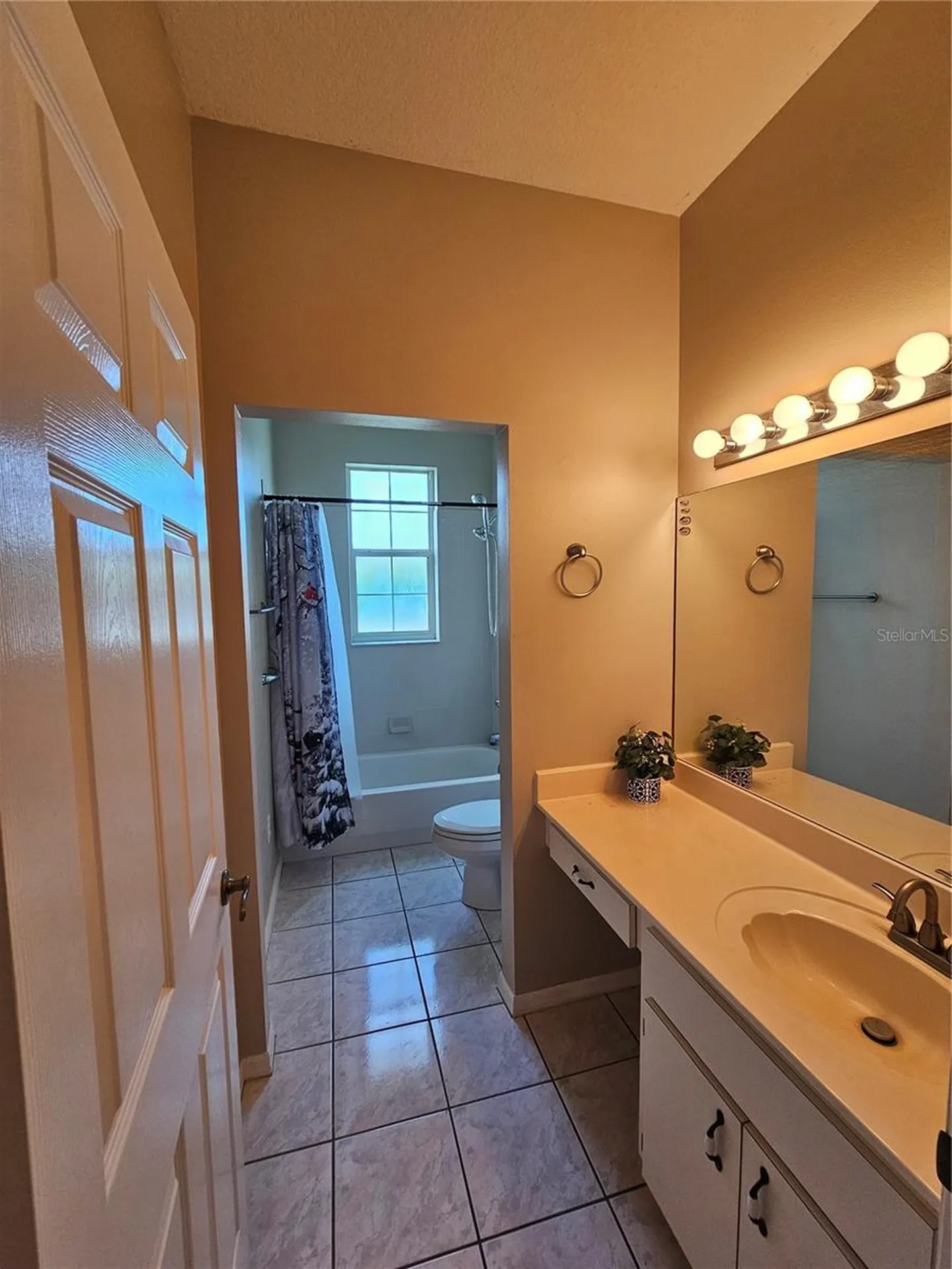 17817 SE 115th Court Summerfield FL 34491