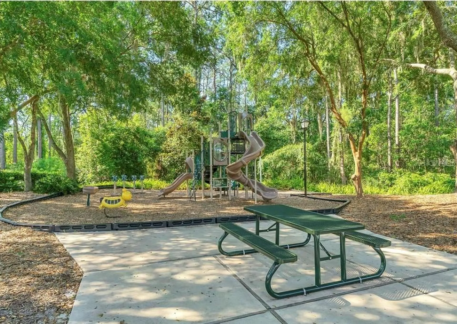 19623 Lake Osceola Lane Odessa FL 33556