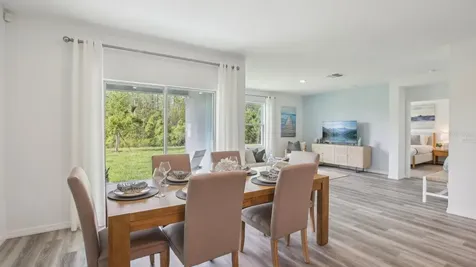 1617 Sourwood Drive Ruskin FL 33570