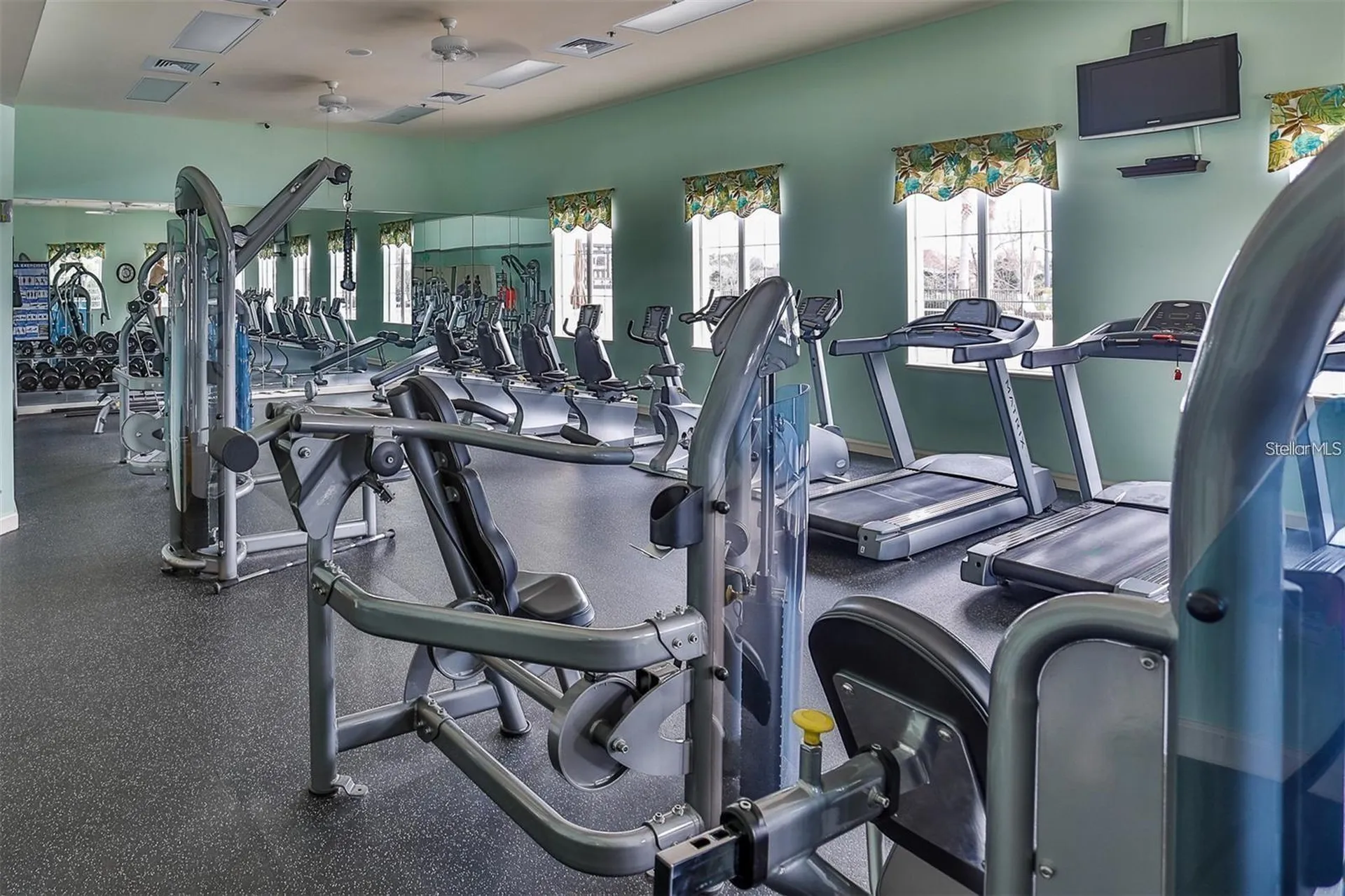 2359 Wakefield Way Mount Dora FL 32757