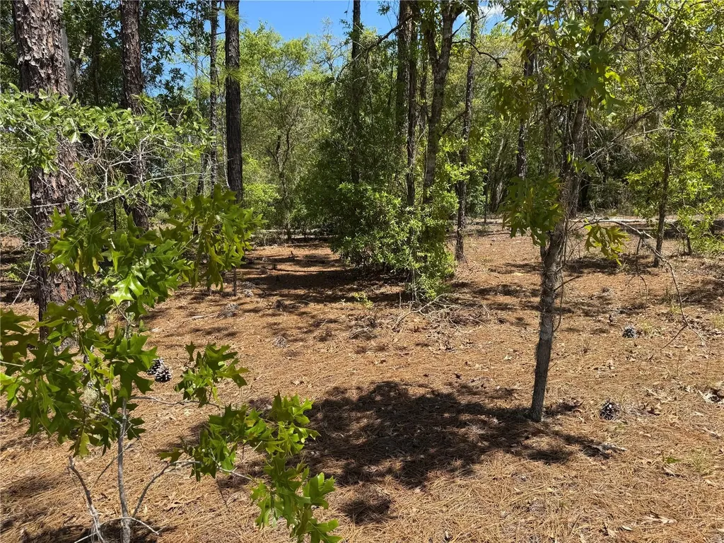 Lot 2 SW 206 Avenue Dunnellon FL 34431
