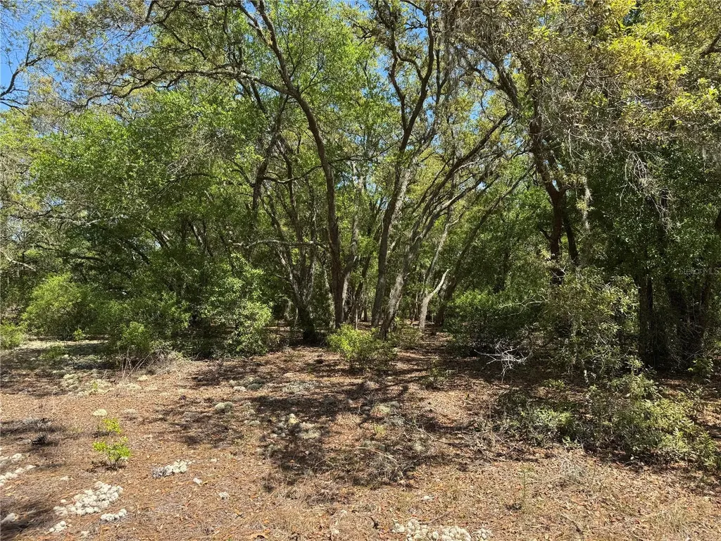 Lot 2 SW 206 Avenue Dunnellon FL 34431