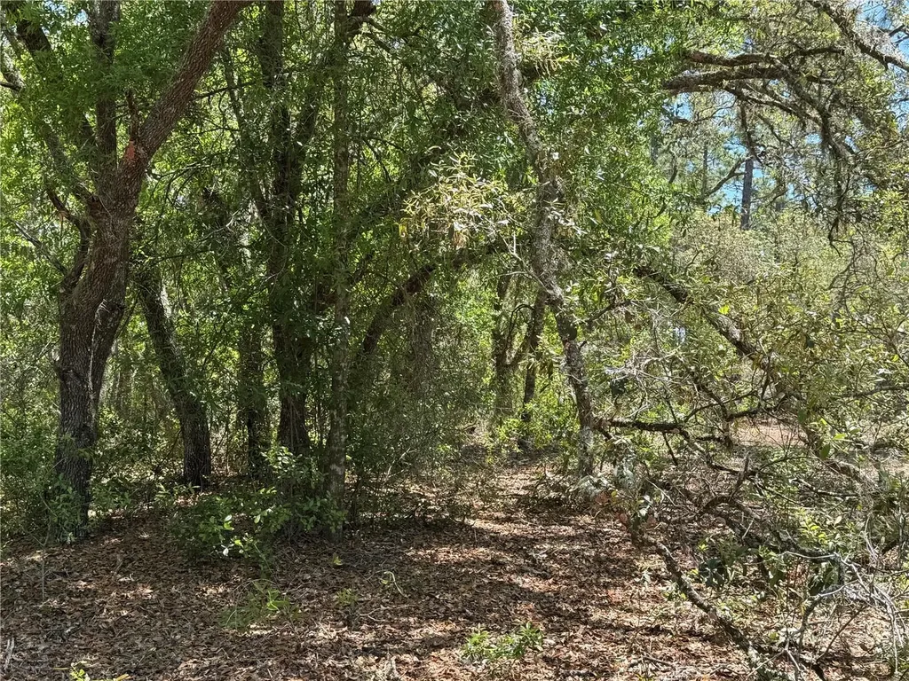 Lot 2 SW 206 Avenue Dunnellon FL 34431