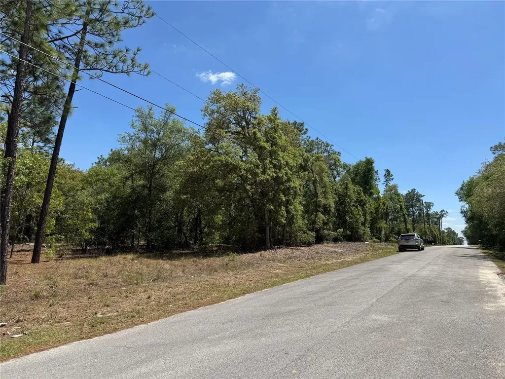 Lot 2 SW 206 Avenue Dunnellon FL 34431