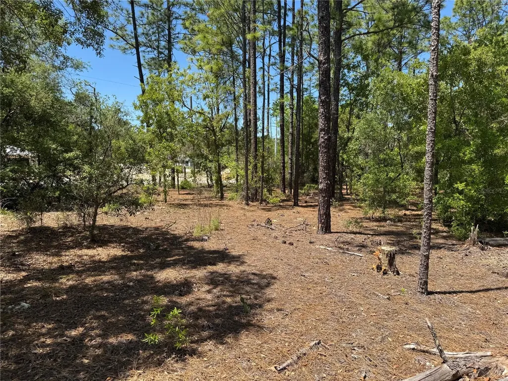 Lot 2 SW 206 Avenue Dunnellon FL 34431