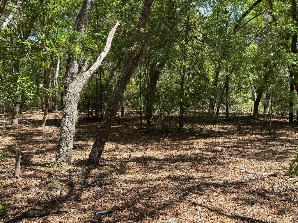 Lot 2 SW 206 Avenue Dunnellon FL 34431